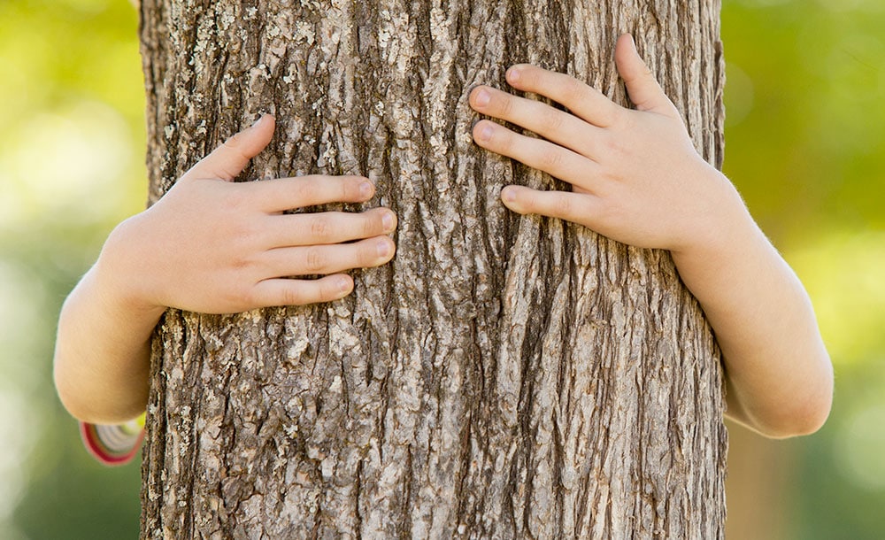 Nachhaltigkeit Kijimea